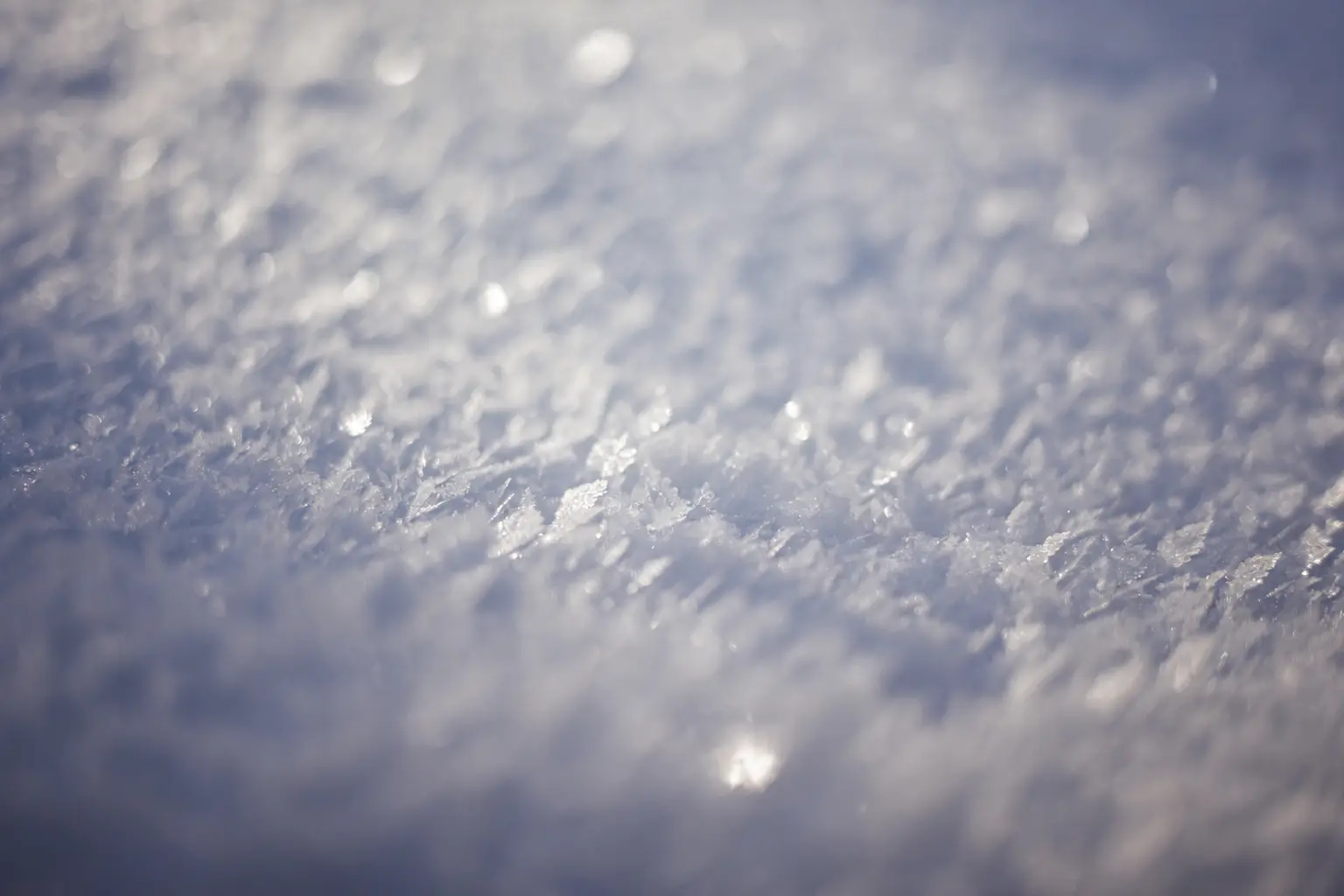 Schneekristalle in der Wintersonne