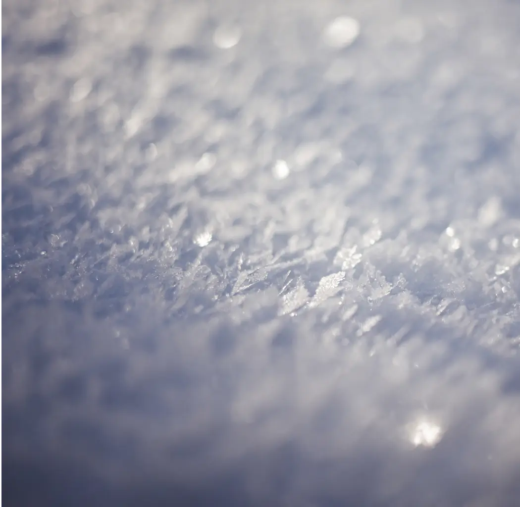 Frisch gefallener Schnee in Nahaufnahme
