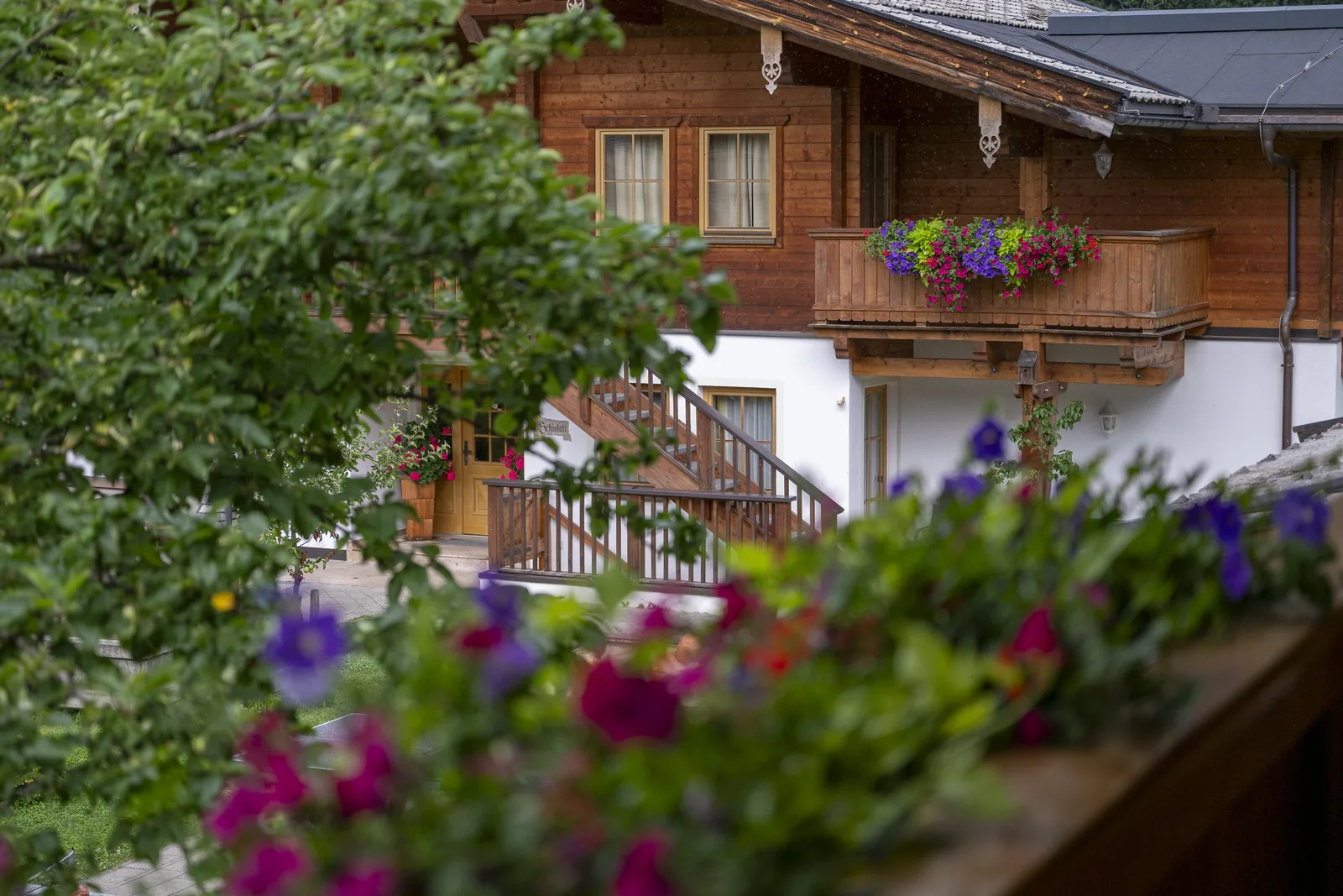 Blühende Blumenkästen vor dem Appartementhaus am Gafalhof