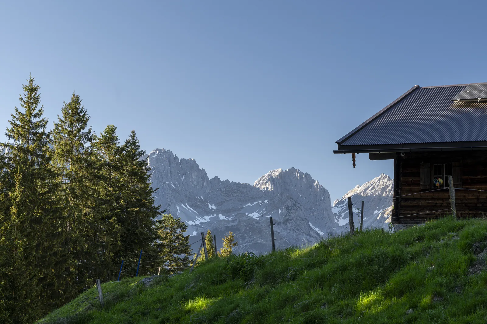 Die Auer Niederalm mit Blick auf das Kaisergebirge oberhalb von Going