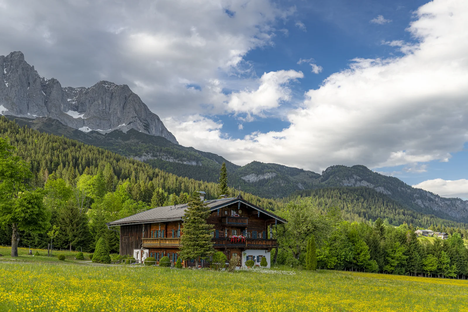 Der Melinghof am Waldrand vor den Felswänden des Wilden Kaisers
