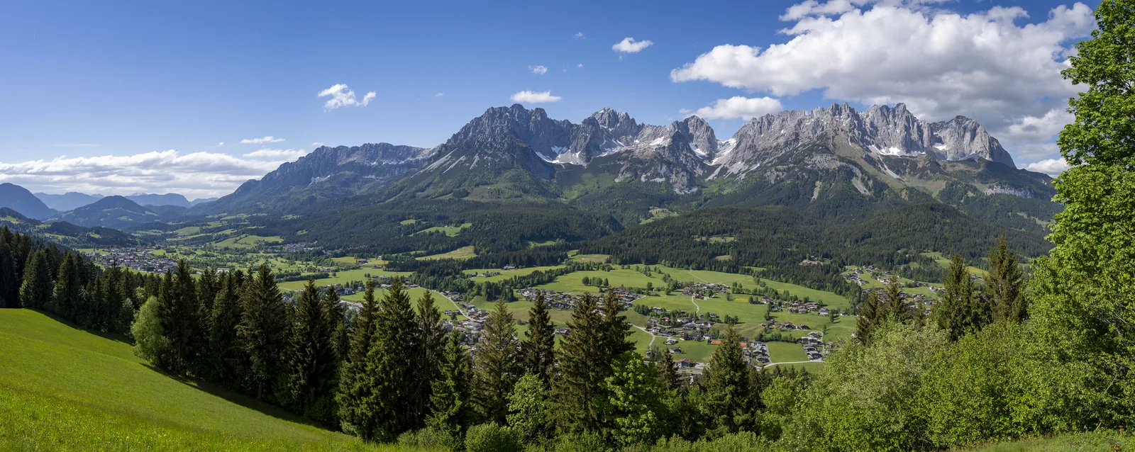 Blick über die Wiesen von Going auf das Massiv des Wilden Kaisers