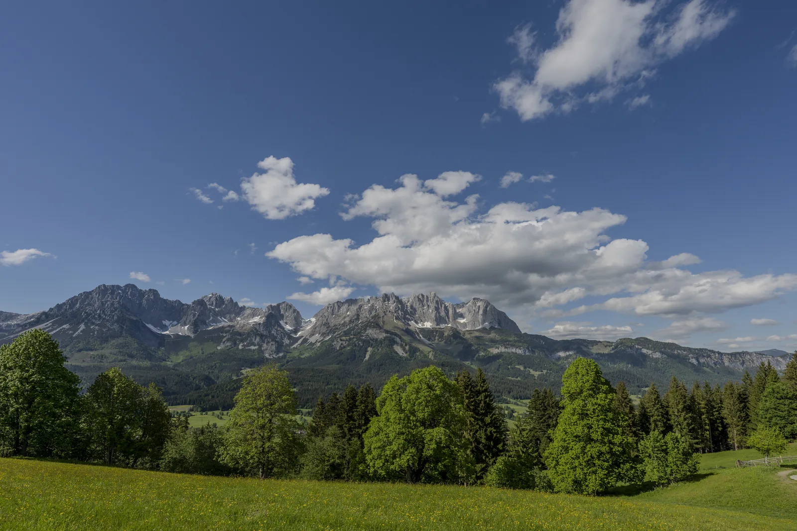 Sanfte Wiesenlandschaft bei Going mit dem Wilden Kaiser in der Ferne
